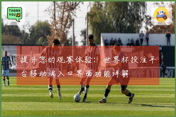 提升您的观赛体验：世界杯投注平台移动端入口界面功能详解