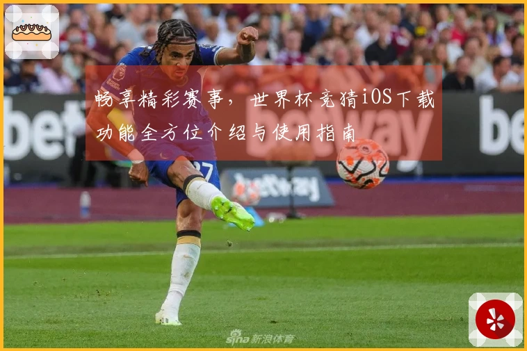 畅享精彩赛事，世界杯竞猜iOS下载功能全方位介绍与使用指南