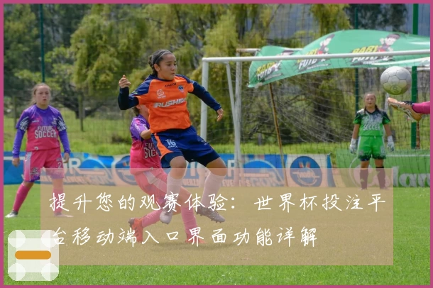 提升您的观赛体验：世界杯投注平台移动端入口界面功能详解