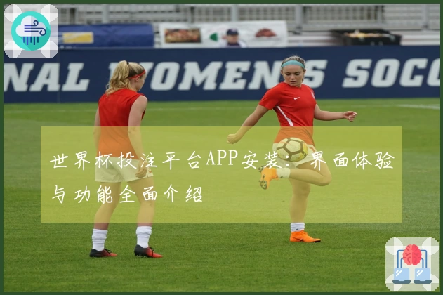 世界杯投注平台APP安装：界面体验与功能全面介绍